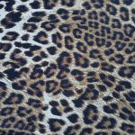 Leopard Print DTY Bon-Bon in Warm Brown and Black